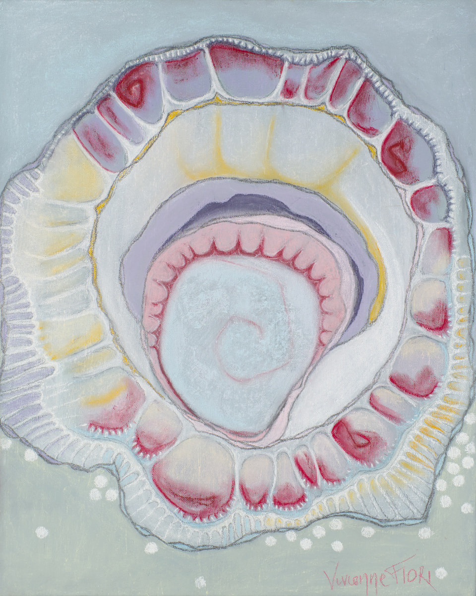 Shell Fragment II. Concentric shell rings in pink, lilac and pale blue spiral inward on a blue and green ground.