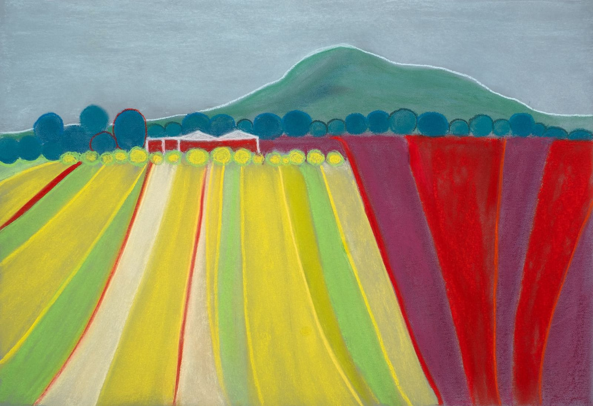 Canola Slope — Ballarat. Long bands of yellow, green and red fields lead towards distant hills.